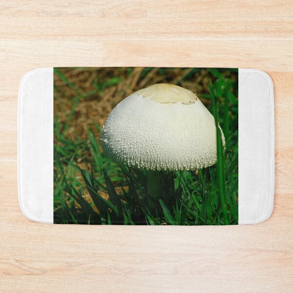 Item preview, Fungus Among Us designed and sold by Brenda Burnett.