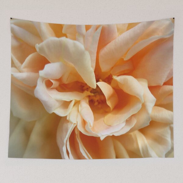 Item preview, Peach Colored Rose  designed and sold by taiche.