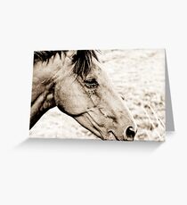 Equus III Greeting Card