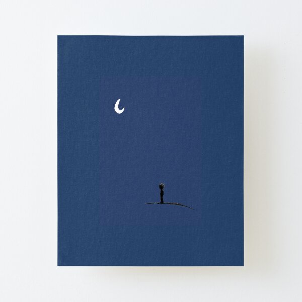 Night Canvas Mounted Print