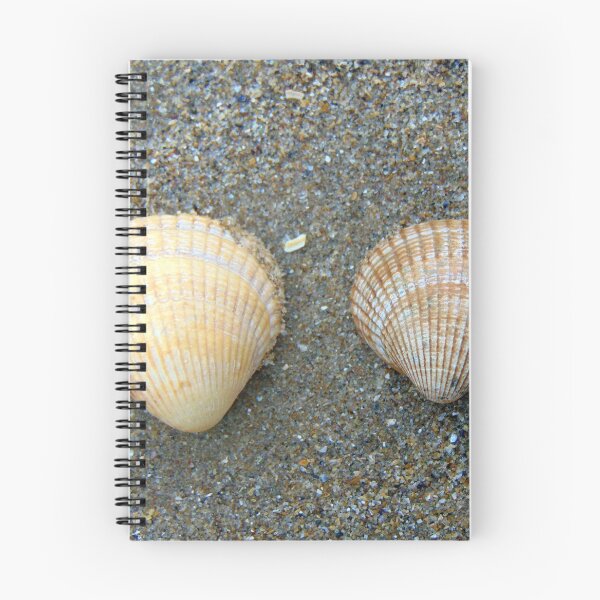 Item preview, shell designed and sold by KathleenDawson.