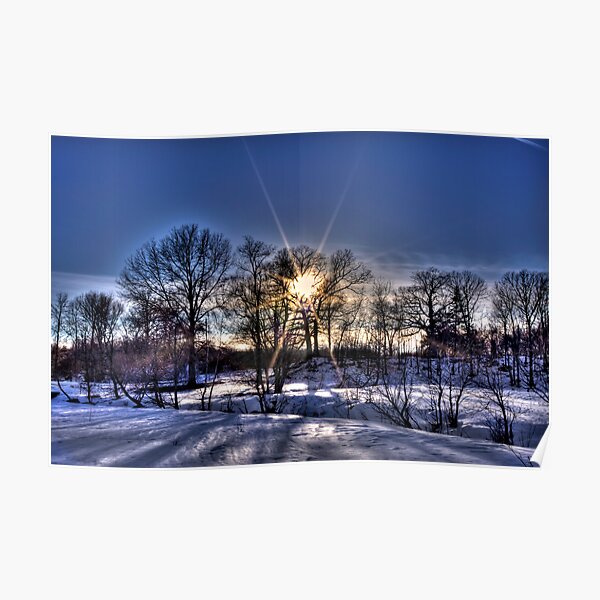 Tree Silhouette Poster