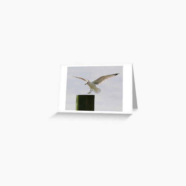 Item preview, Soft Landing designed and sold by Paulette1021.