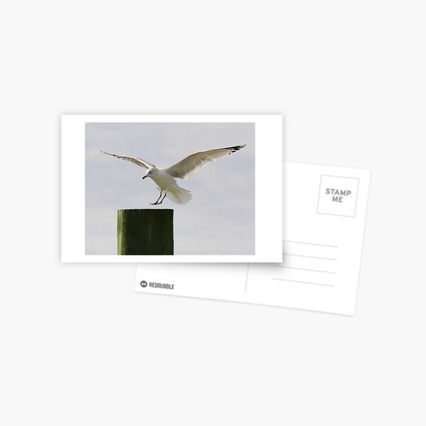 Item preview, Soft Landing designed and sold by Paulette1021.