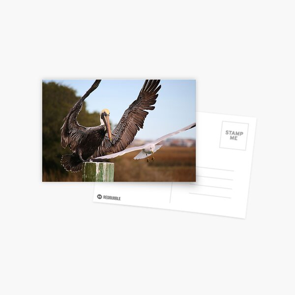Item preview, SHOO Get off of My Post designed and sold by Paulette1021.