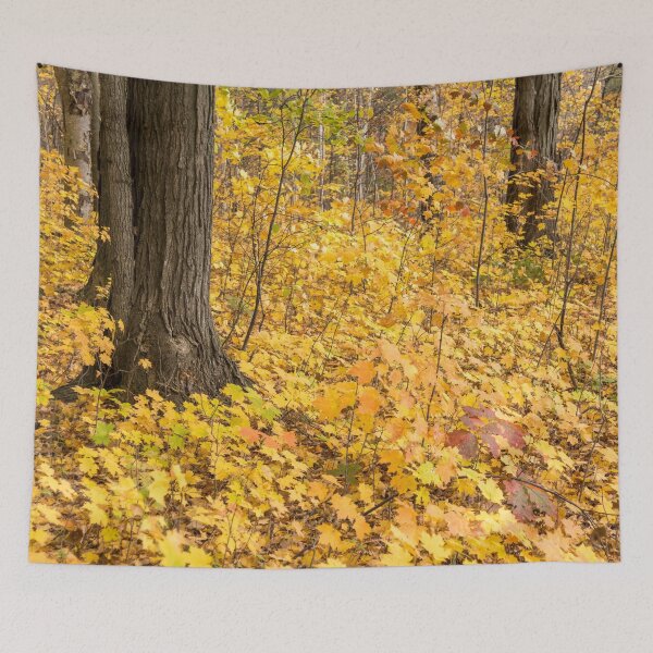 Item preview, Baby Maples - Environmental Renewal in Golden Yellow designed and sold by Georgia Mizuleva.