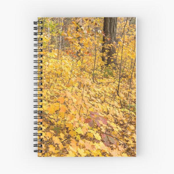 Item preview, Baby Maples - Environmental Renewal in Golden Yellow designed and sold by Georgia Mizuleva.