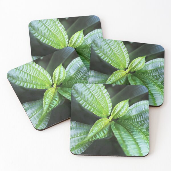 Item preview, Green Leaf (Kokoda) designed and sold by BenClarkImagery.