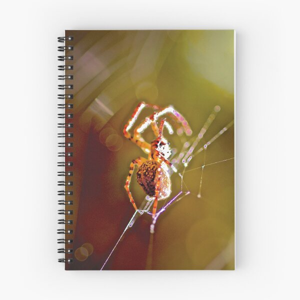 Item preview, INTO THE LIGHT - SPIDER BITE ! designed and sold by NICK COBURN PHILLIPS.