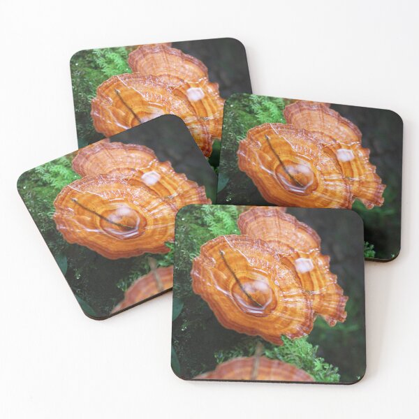Item preview, Orange Fungus designed and sold by BenClarkImagery.
