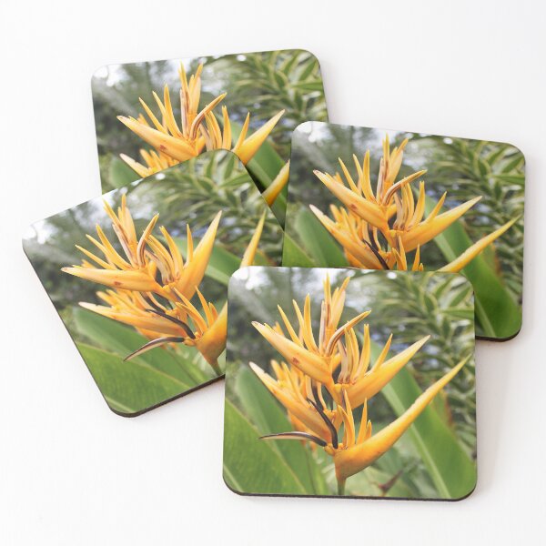 Item preview, Bird of Paradise designed and sold by BenClarkImagery.