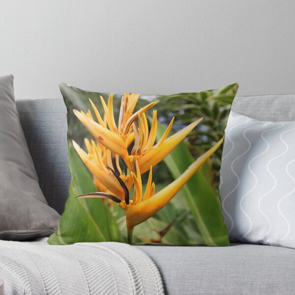 Item preview, Bird of Paradise designed and sold by BenClarkImagery.