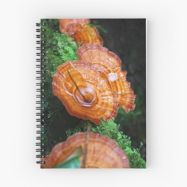 Item preview, Orange Fungus designed and sold by BenClarkImagery.