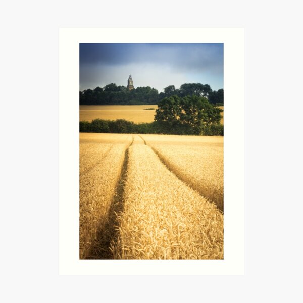 A path through the wheat Art Print