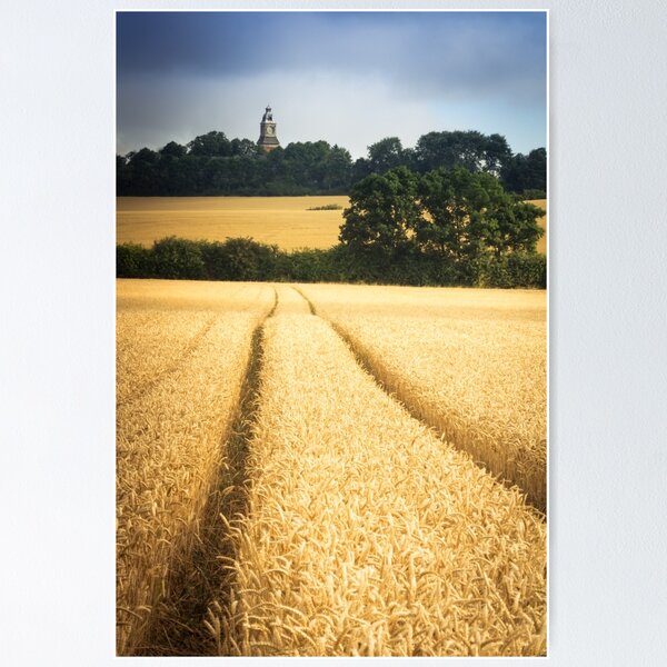Item preview, A path through the wheat designed and sold by Ralph Goldsmith.