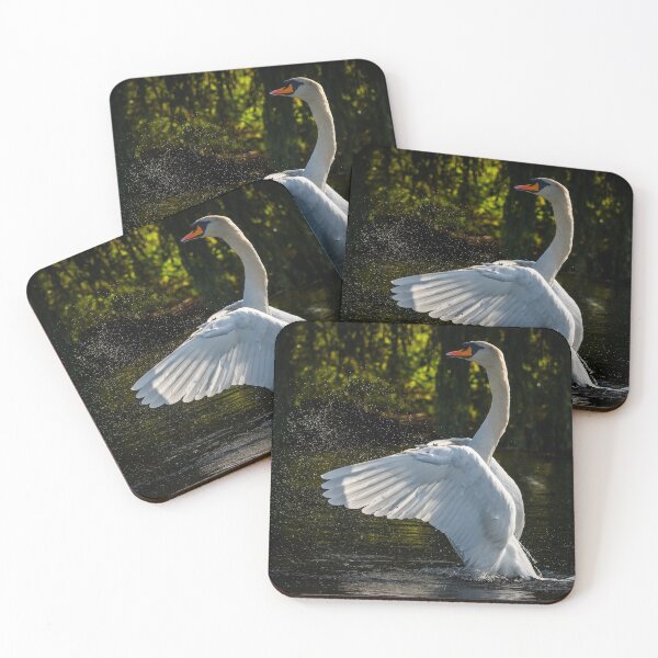 Item preview, Mute Swan stretching its wings designed and sold by Adrian Rowley.