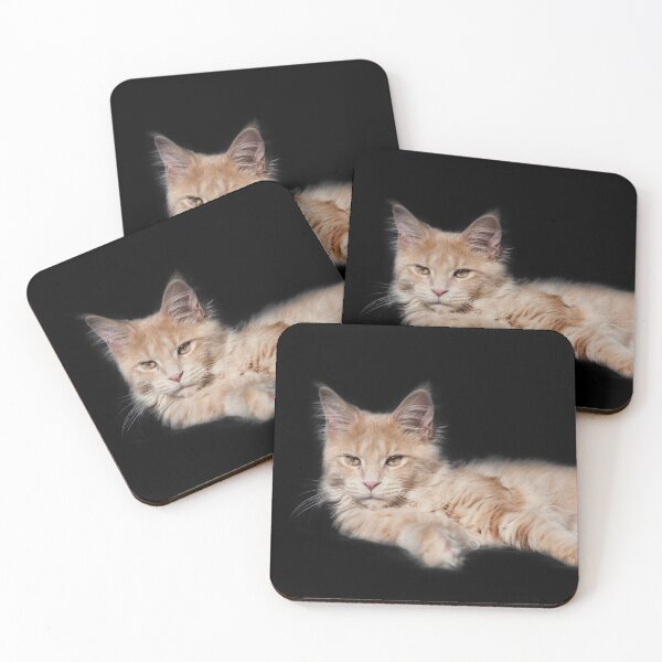 Item preview, Kitty mainecoon on black designed and sold by CrunchyCableStudio.