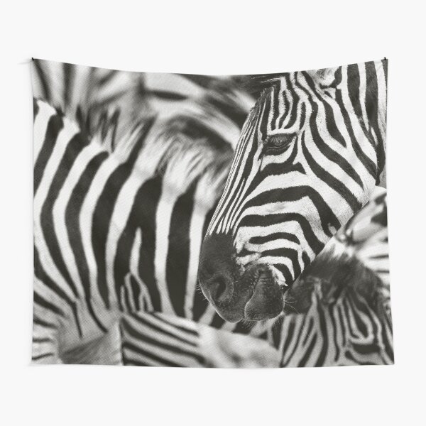 Dazzle of Zebra Stripes Tapestry