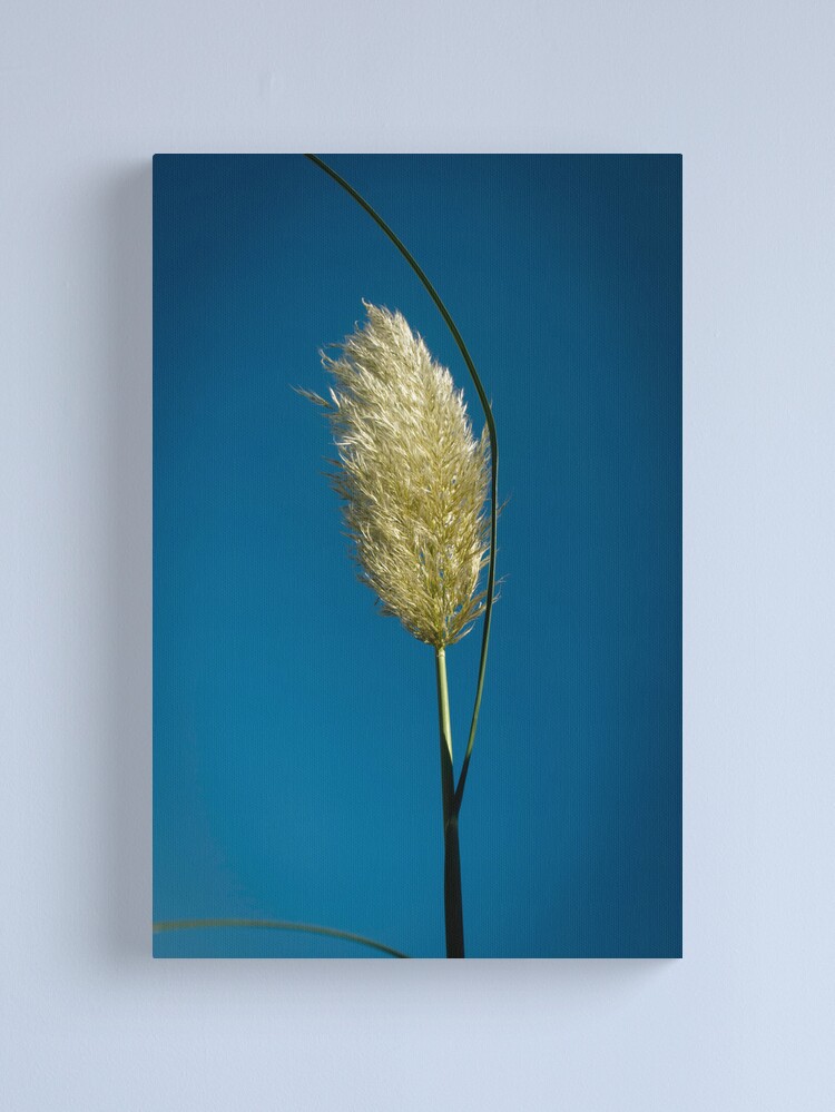 Kans Grass Painting | Kash Flower Painting