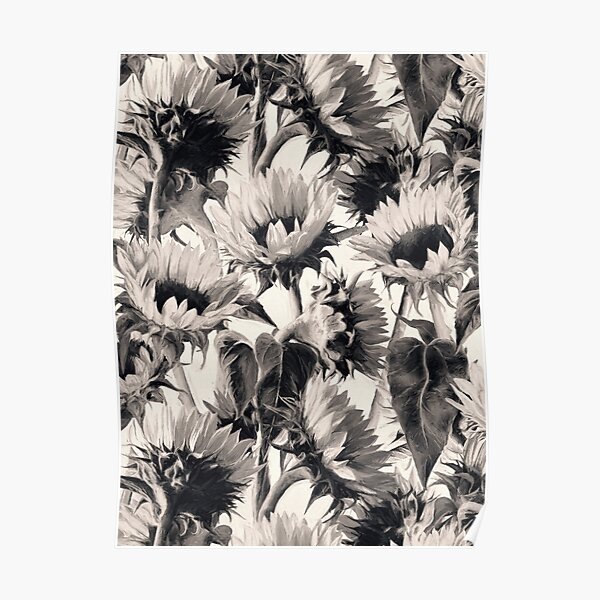 Sunflowers in Soft Sepia Poster