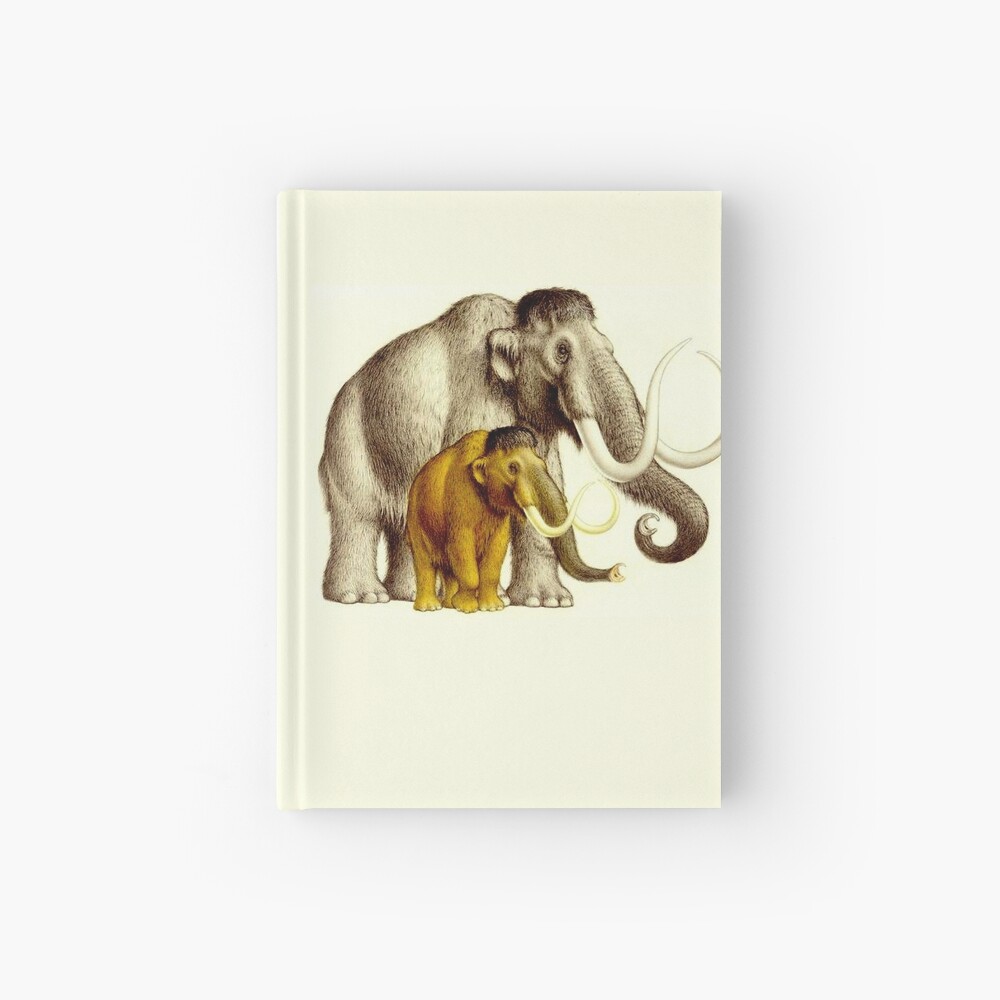 WOOLLY MAMMOTHS : Extinct Elephant type Mammal Print WOOLLY MAMMOTHS : Extinct Elephant type Mammal Print