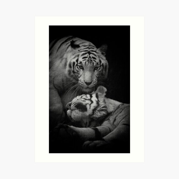 Assistance Required Art Print