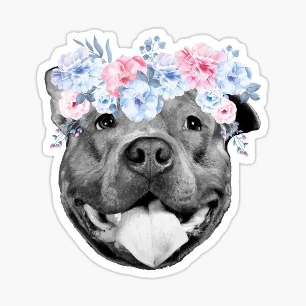 PrettyPittie Shop Shop | Redbubble