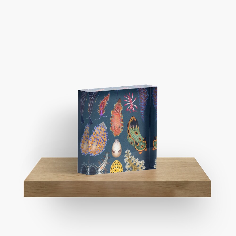 Nudibranchs Plate Acrylic Block