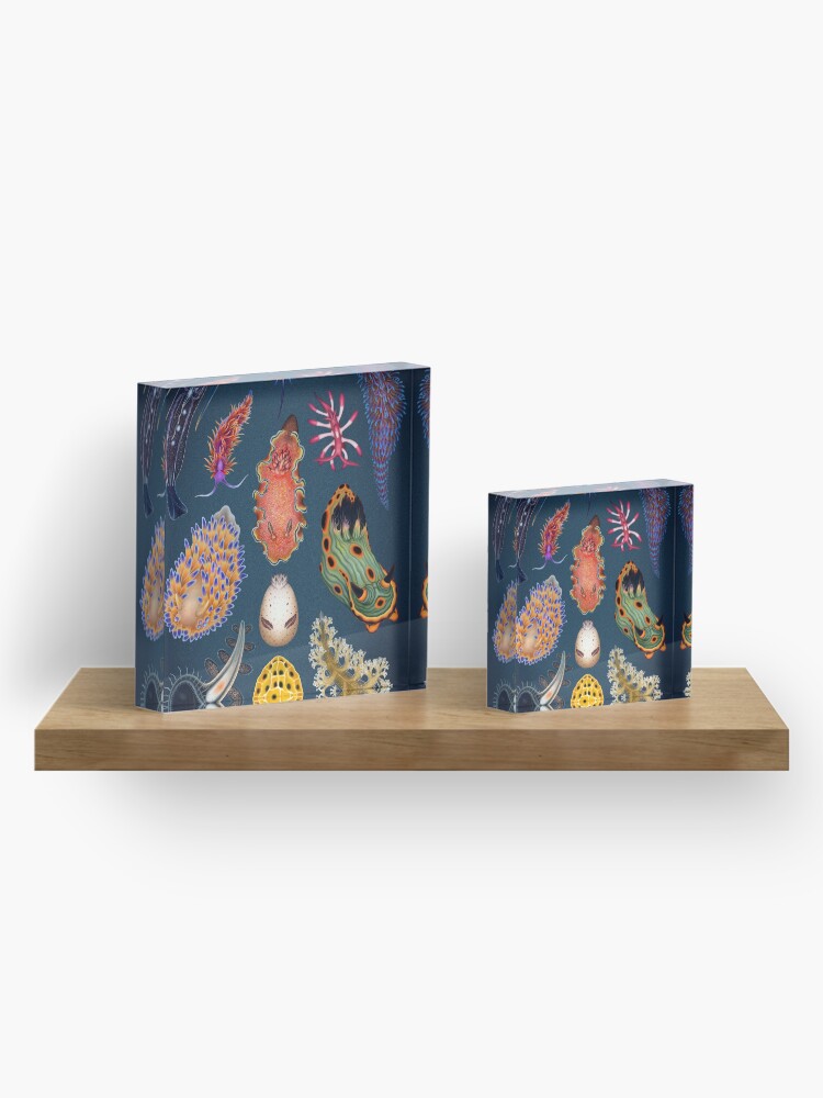 Alternate view of Nudibranchs Plate Acrylic Block