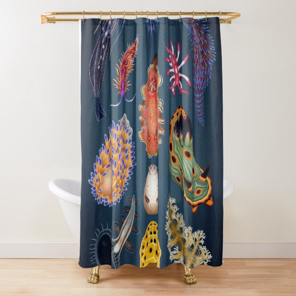 Nudibranchs Plate Shower Curtain