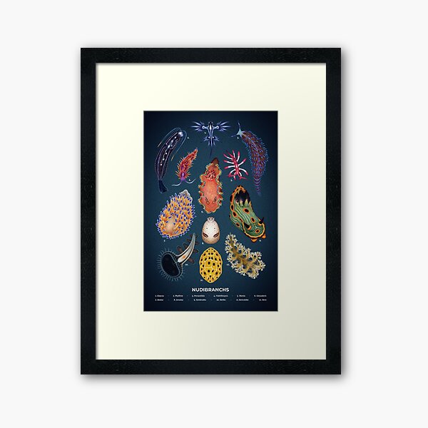 Item preview, Nudibranchs Plate designed and sold by Franz Anthony.