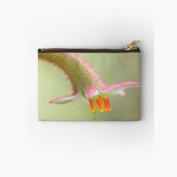 Item preview, Anigozanthos flavidus designed and sold by metriognome.