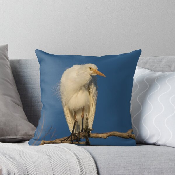 Item preview, Sunset Plumage designed and sold by byronbackyard.