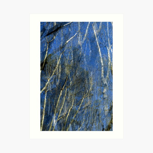 Traumwald 1 Art Print
