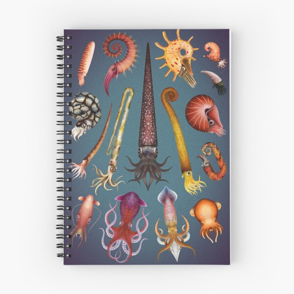 Item preview, Cephalopods Plate designed and sold by Franz Anthony.