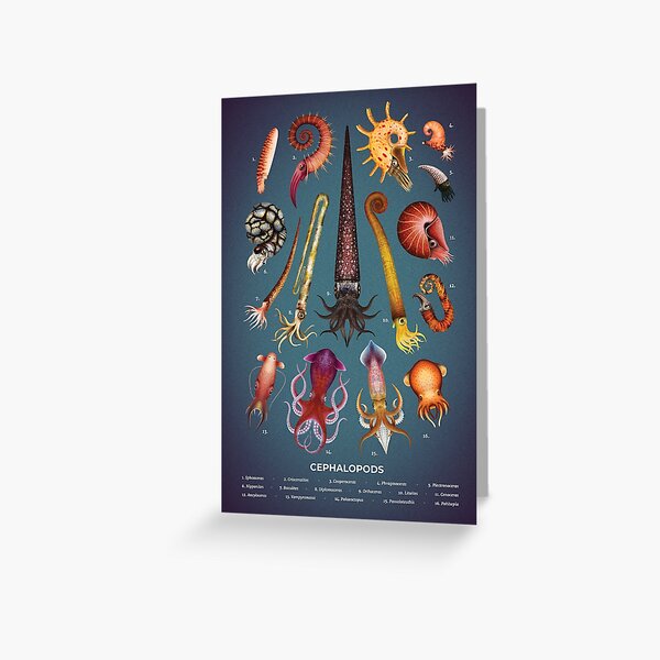 Item preview, Cephalopods Plate designed and sold by Franz Anthony.
