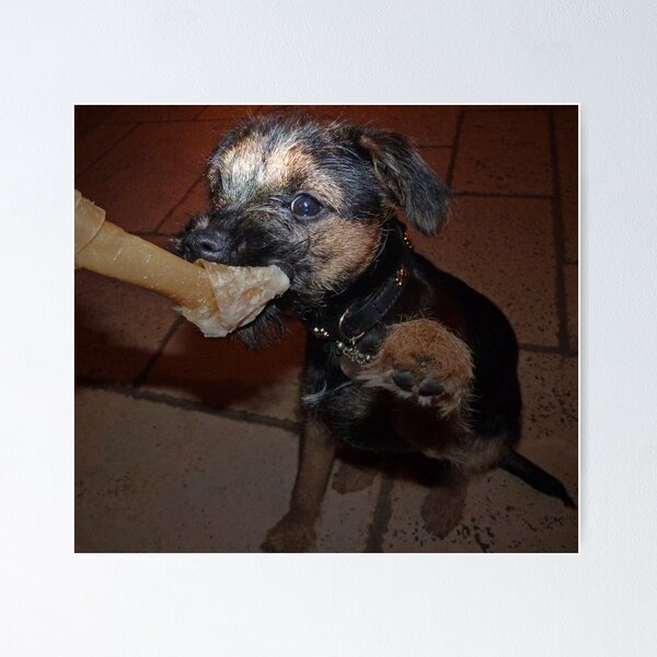 Item preview, WEE OLLIE AND HIS BONE designed and sold by leonie7.
