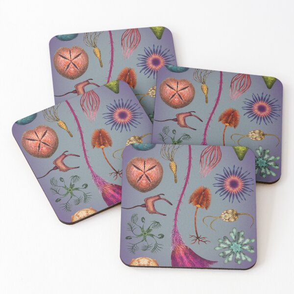 Item preview, Echinoderms Plate designed and sold by Franz Anthony.