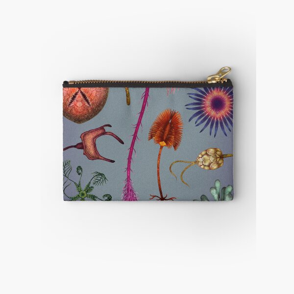Item preview, Echinoderms Plate designed and sold by Franz Anthony.