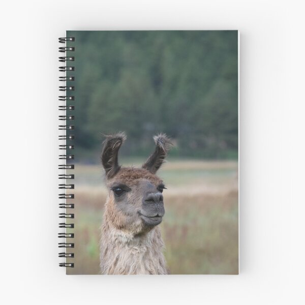 Item preview, Llama Portrait 4 Sissy designed and sold by AlsknMommaBear2.