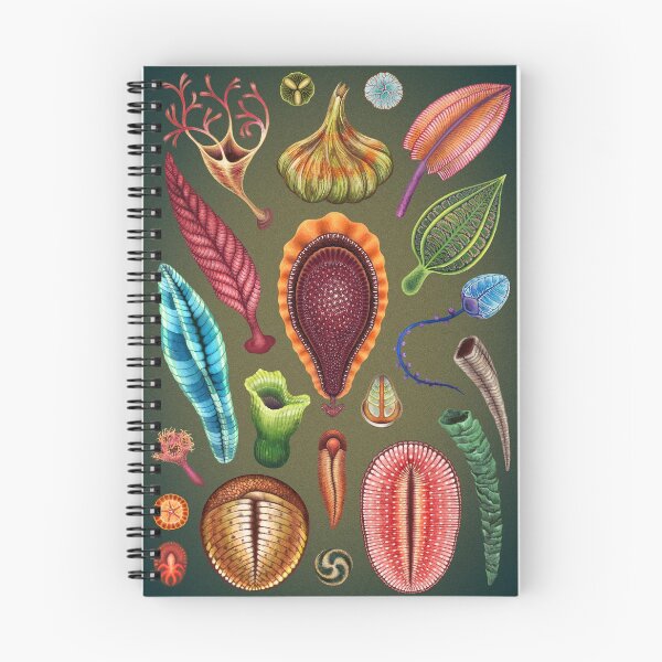 Item preview, Ediacaran Plate designed and sold by Franz Anthony.
