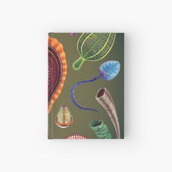 Ediacaran Plate Hardcover Journal
