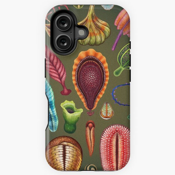 Item preview, Ediacaran Plate designed and sold by Franz Anthony.
