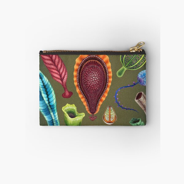 Item preview, Ediacaran Plate designed and sold by Franz Anthony.