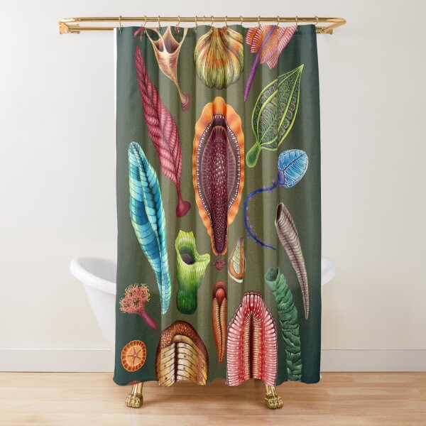 Ediacaran Plate Shower Curtain