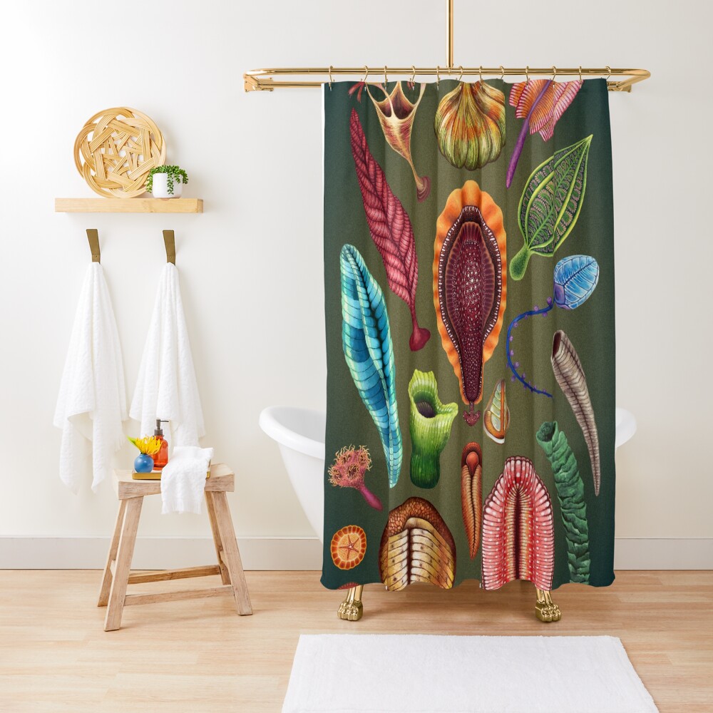 Ediacaran Plate Shower Curtain
