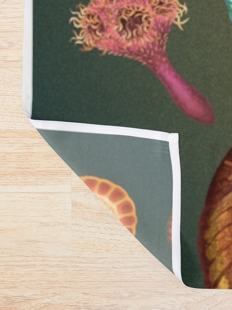 Alternate view of Ediacaran Plate Shower Curtain