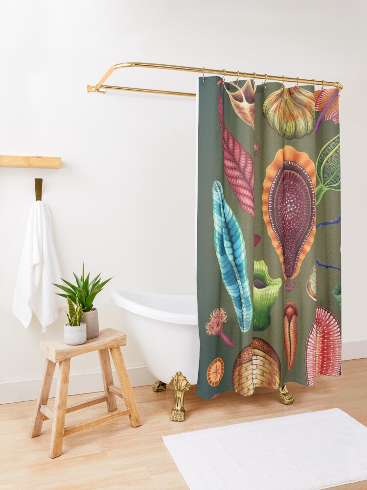 Alternate view of Ediacaran Plate Shower Curtain