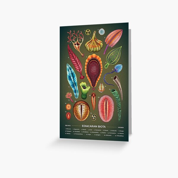 Ediacaran Plate Greeting Card