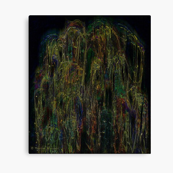 The beauty of the weeping willow Canvas Print
